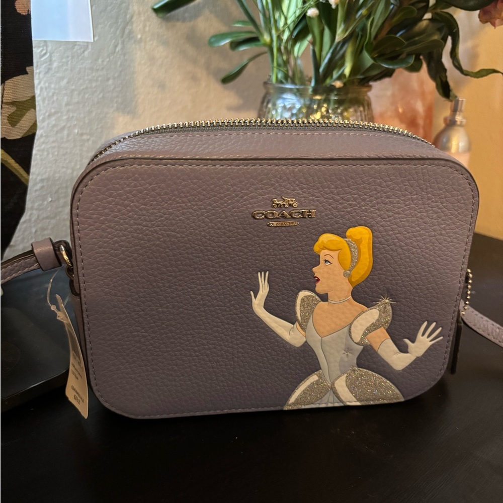Coach Cinderella purse